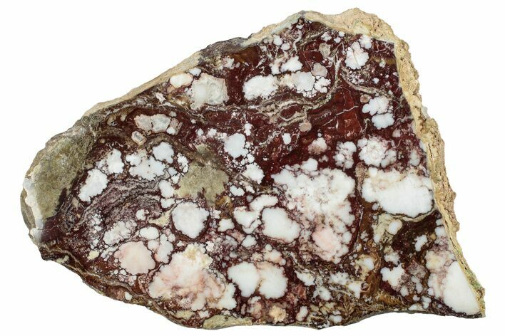 Polished Wild Horse Magnesite Slab - Arizona #301692